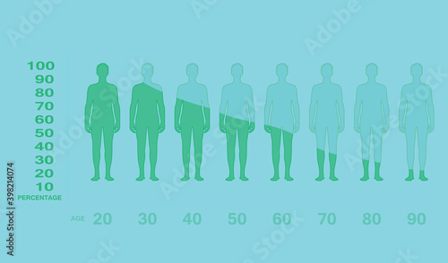 Male testosterone production level with age. vector 