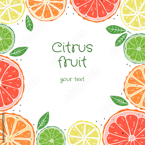 Square frame of citrus fruit and leaves on a white background. Doodle style. Doodle style. Place for your text.