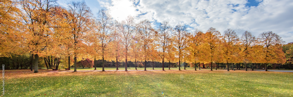 Naklejka premium herbst