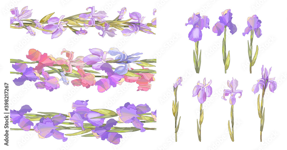 Seamless horizontal borders with stylized bright irises Seamless horizontal borders with stylized bright irises