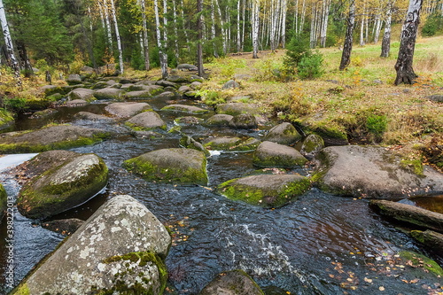 Wallpaper Mural Forest river in autumn Torontodigital.ca