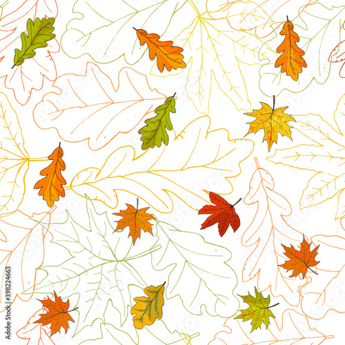 Seamless pattern with fall maple leaves. Vector illustration.