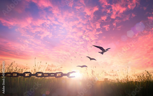Fotografia, Obraz World freedom day concept: Silhouette of bird flying and broken chains at autumn
