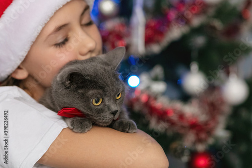 Close-up portrait of a cat. The girl, closing her eyes from tenderness, holds the pet in her arms. The background is blurred. New year and christmas decor