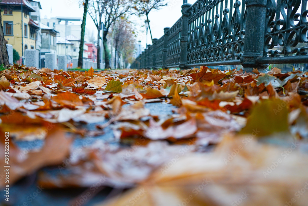 Dry leaves on the sidewalk, autumn colors, long line with dry leaves Dry leaves on the sidewalk, autumn colors, long line with dry leaves