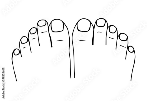 Simple hand-drawn vector drawing in black outline. Two feet top view, toes, nails, pedicure.
