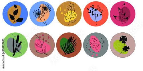 Instagram highlights cover icons. Black flowers and leaves on the abstract background. Vector illustration.