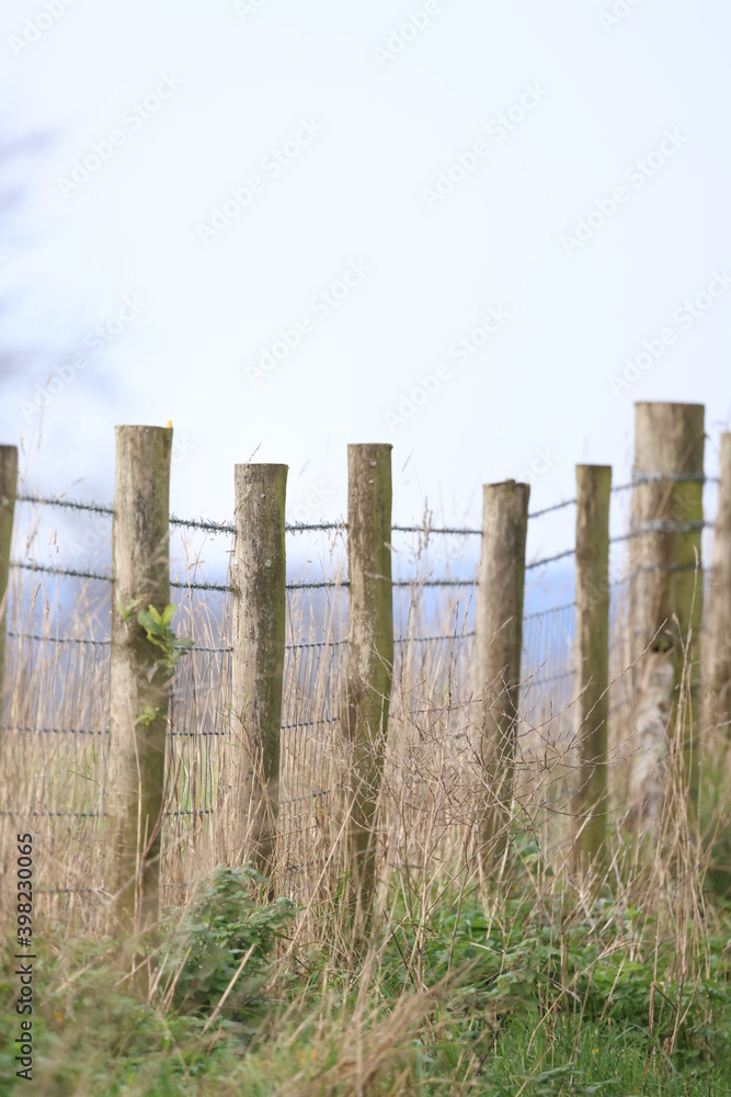 Fototapeta premium Pasture fence