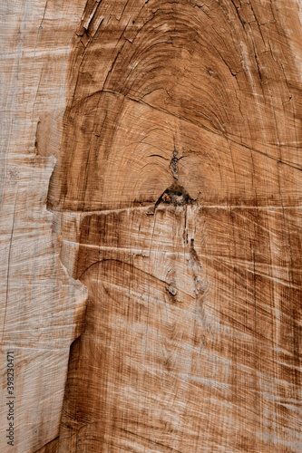 naturaleza, verde, invierno, hojas, plantas, arboles, textura, abstracto, macro, color, madera