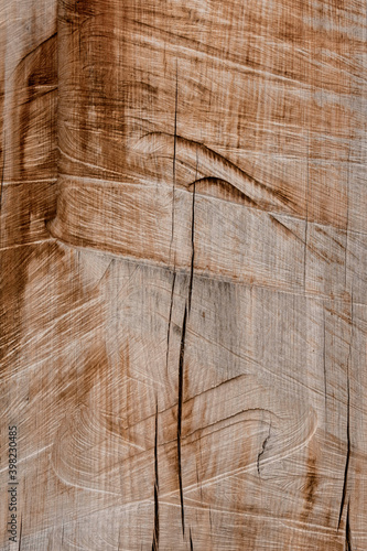 naturaleza, verde, invierno, hojas, plantas, arboles, textura, abstracto, macro, color, madera