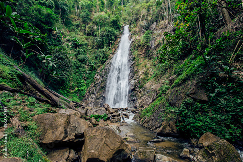 Canvas-taulu Waterfall, River, Water, Chiang Mai Province, Thailand
