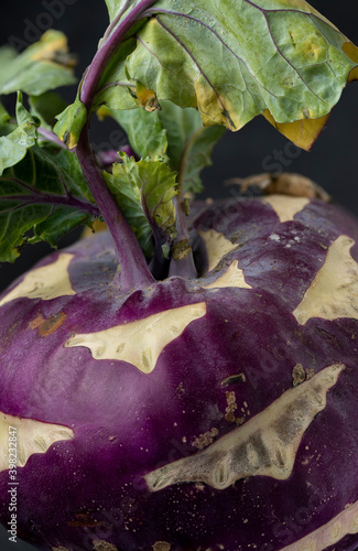 One purple kohlrabi on a black background Still life Dark food photography