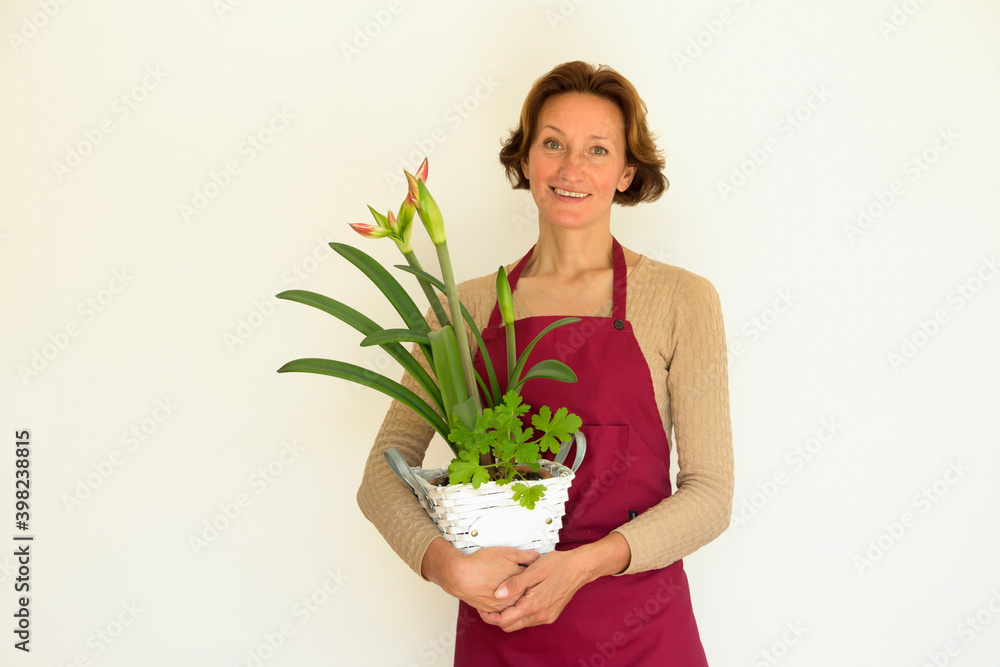 The housewife admires her flowers. A woman in a crimson apron looks after home flowers on a light background. Flower seller. Floriculture business. The housewife admires her flowers. A woman in a crimson apron looks after home flowers on a light background. Flower seller. Floriculture business.