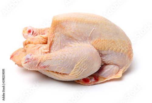 raw hen on a white background