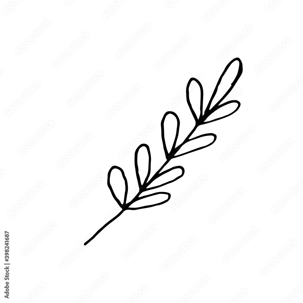 Doodle plant leaf on white background. Vector illustration. Hand drawing.