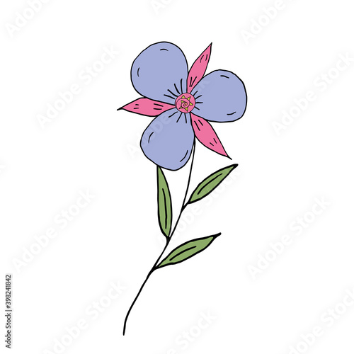 Wild flower on a white background. Vector illustration. Hand drawing.