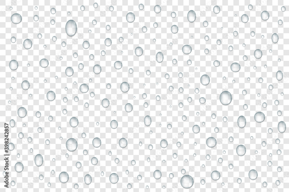 Realistic vector water drops on trasparent background. Rain drops on a surface. Condensation or vapor.