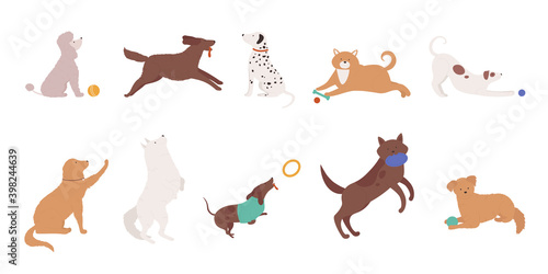 Dogs pets play vector illustration set. Cartoon cute various doggy characters collection of funny dog animal playing with ball, training human commands, puppy running and jumping isolated on white