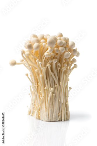 Fresh golden needle mushroom or enoki isolated on white photo