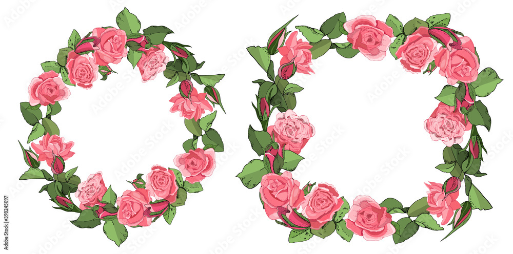 Templates with roses and leaves isolated on white background. Templates with roses and leaves isolated on white background.
