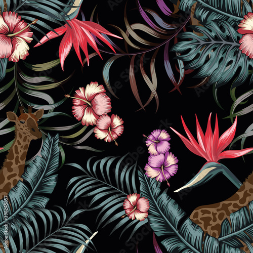 Egzotyczne tropikalne rośliny i kwiaty w nocy w dżungli z żyrafą Bezszwowy wzór ilustracji wektorowych na czarnym tle str