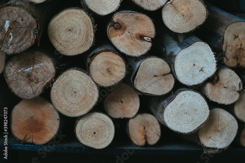 Old chopped firewood background. Stack of woodpile with dark color style.