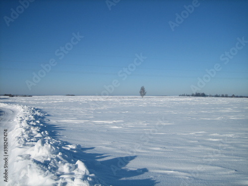 Clear snow field on a clear frosty day. Only in the distance, on a flat horizon, is the forest visible. © SerZorin