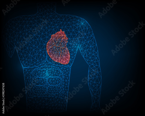 Human heart anatomy stabilizer generates lines and triangles network connection dots on blue background illustration
