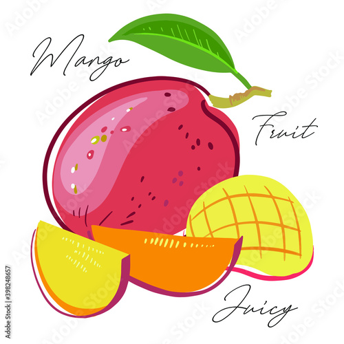 The mango fruit is simplified, stylized for logo, design, backgrounds, patterns. Vector illustration, handmade, full color.