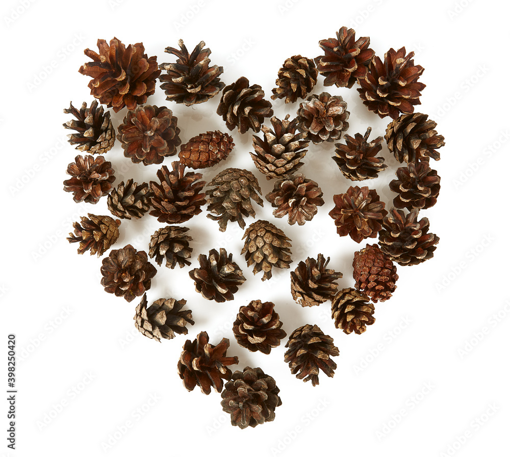 Obraz premium cones of pine isolated on white background