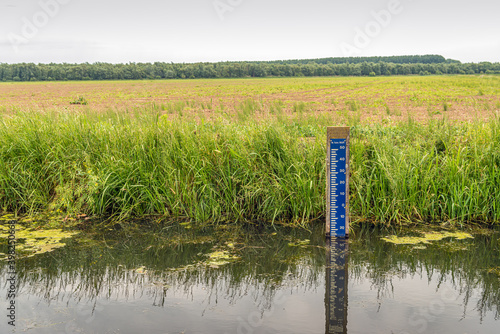 Obraz na płótnie Blue water level scale with white markings in the water of a ditch. In the Netherlands the water level is measured in meters above or below the Amsterdam Ordnance Datum or Normal Amsterdams Peil (NAP) w salonie