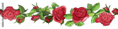 Flowers seamless border isolated on white background. Hand drawn illustration of roses.