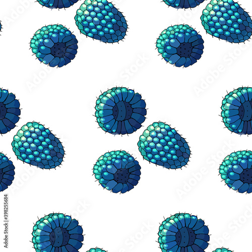Seamless summer pattern with ripe blue raspberries. Vector illustration.