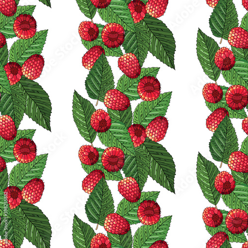 Seamless summer pattern with ripe raspberries and leaves. Vector illustration.