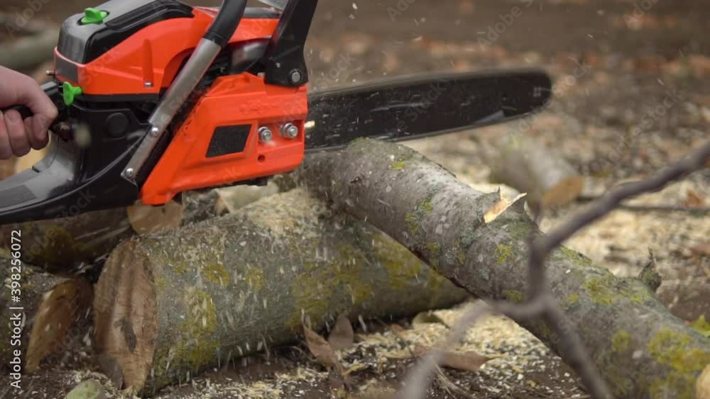 lumberjack sawing tree by chainsaw, wooden shavings flying around in ...