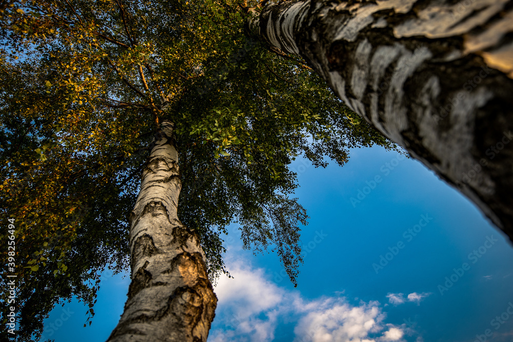 Fototapeta premium Spätsommerlandschaft