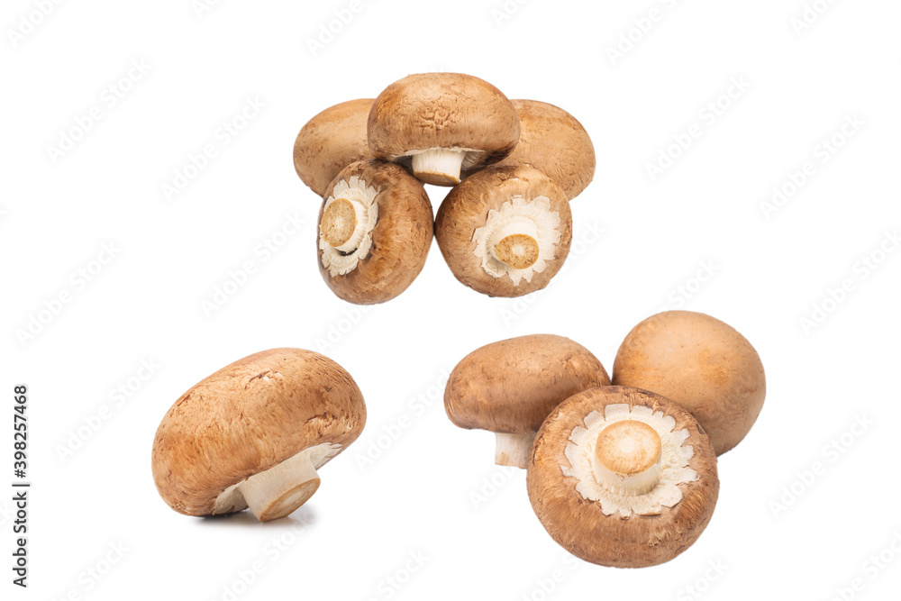Tasty mushroom isolated on white background. Tasty mushroom isolated on white background.