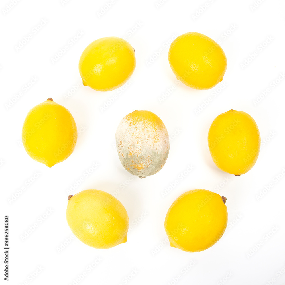 Rotten lemon next to fresh lemons on a white background