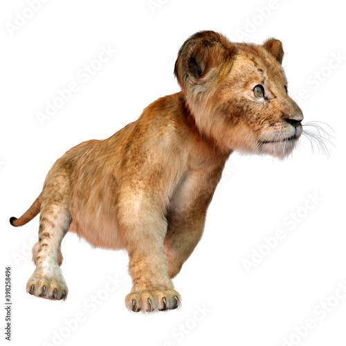 3D Rendering Lion Cub on White