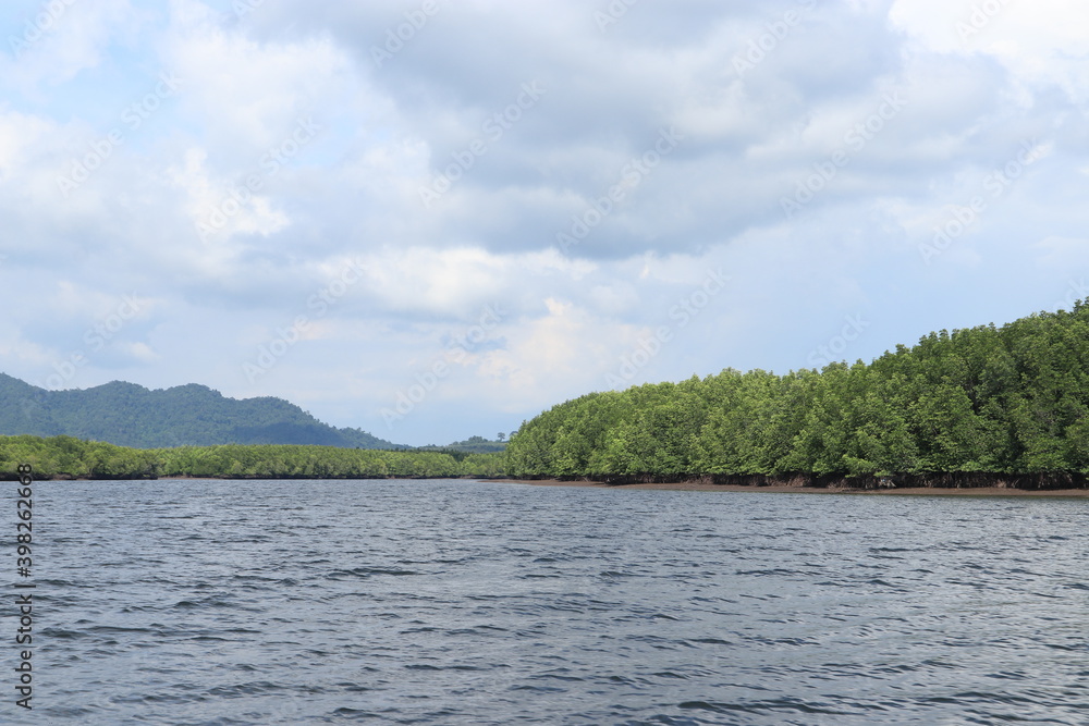 Mangrove area with blue sky in the morning Mangrove area with blue sky in the morning