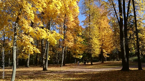 Family with children walking in the autumn park