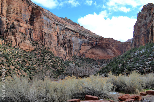 Obraz na płótnie Zion National Park, Utah w salonie
