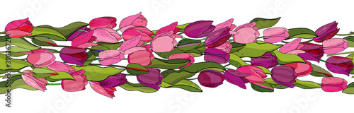 Beautiful blooming tulip seamless pattern in a hand drawing style on white background, wrapper.