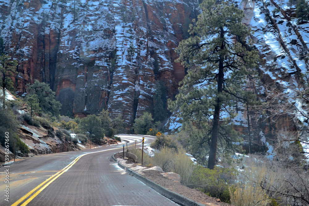 Zion National Park, Utah