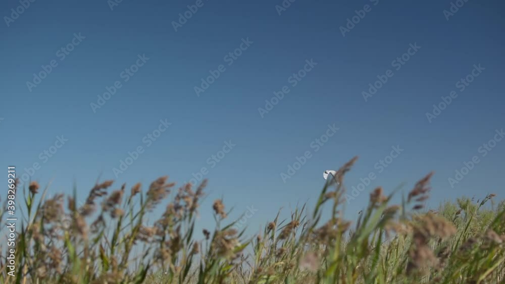 Russian travel concept – relax and no people holidays during summer. Good vibes and relaxation in Russia. Sandy weather with a kiteboard. Russian travel concept – relax and no people holidays during summer. Good vibes and relaxation in Russia. Sandy weather with a kiteboard.