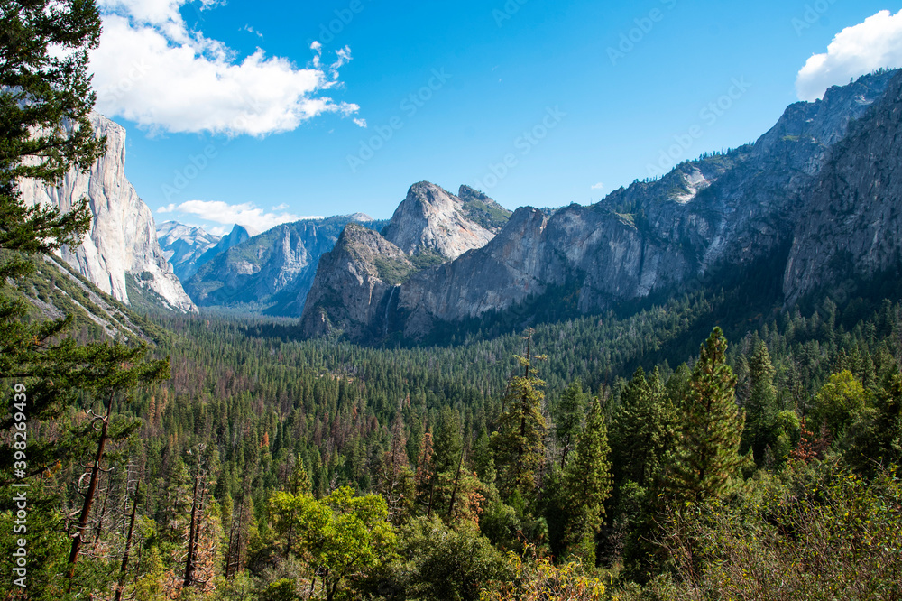 Fototapeta premium Yosemite Valley
