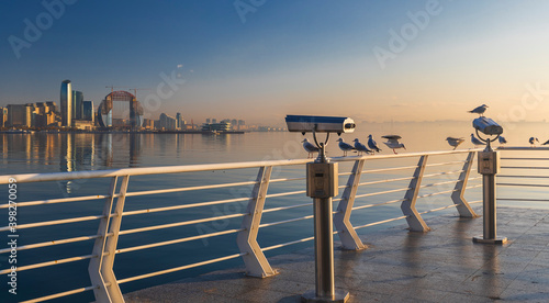 Seagulls sitting on the cur...