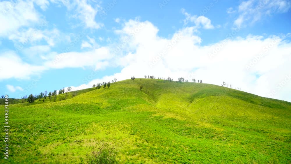 Amazing landscape Green grass on the field with clear blue sky
Amazing landscape Green grass on the field with clear blue sky