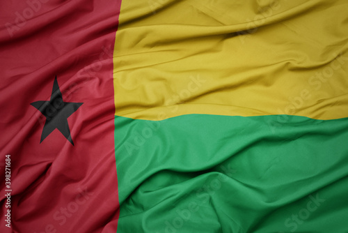 waving colorful national flag of guinea bissau.