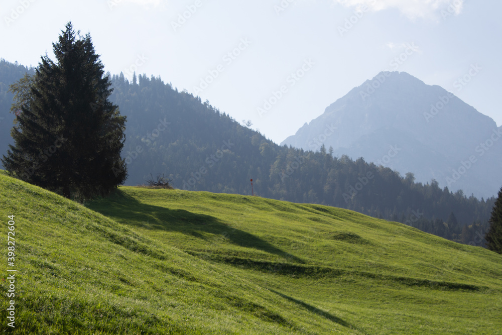 Obraz premium Alpen Berg Panorama mit grüner Wiese und wolken